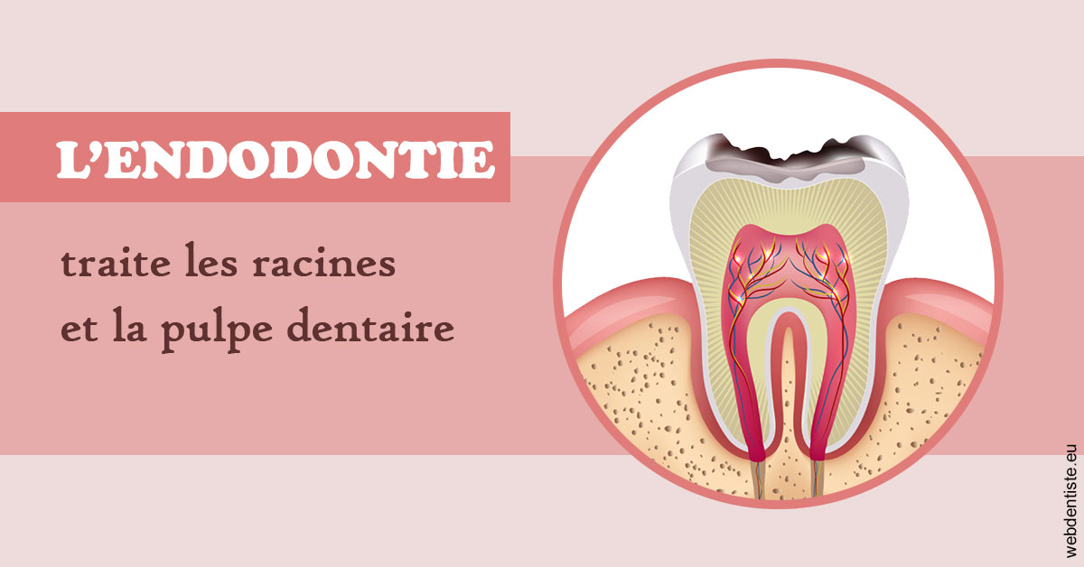 https://www.cabinetdentaireducentre.fr/L'endodontie 2