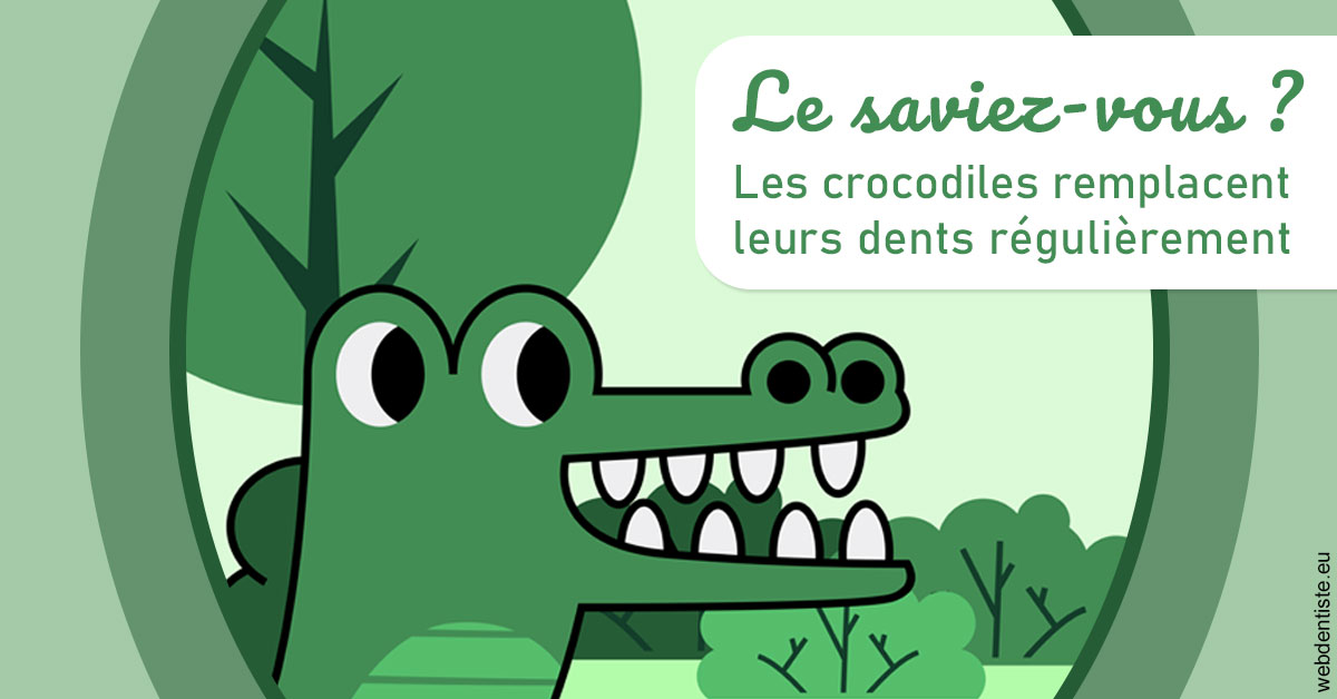 https://www.cabinetdentaireducentre.fr/Crocodiles 2