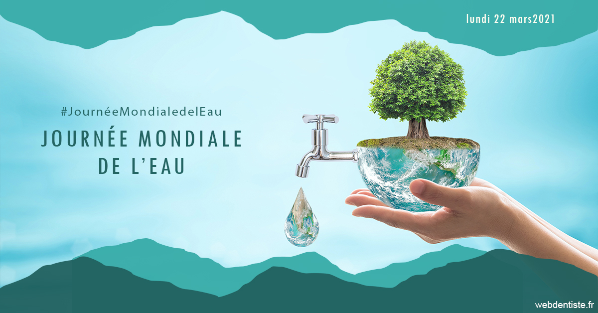 https://www.cabinetdentaireducentre.fr/Journée de l'eau 1