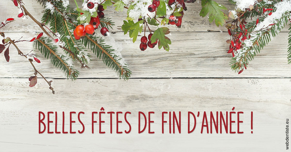 https://www.cabinetdentaireducentre.fr/Joyeux Noël 2