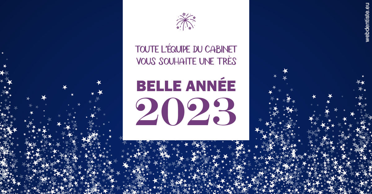 https://www.cabinetdentaireducentre.fr/Bonne année 2023 2