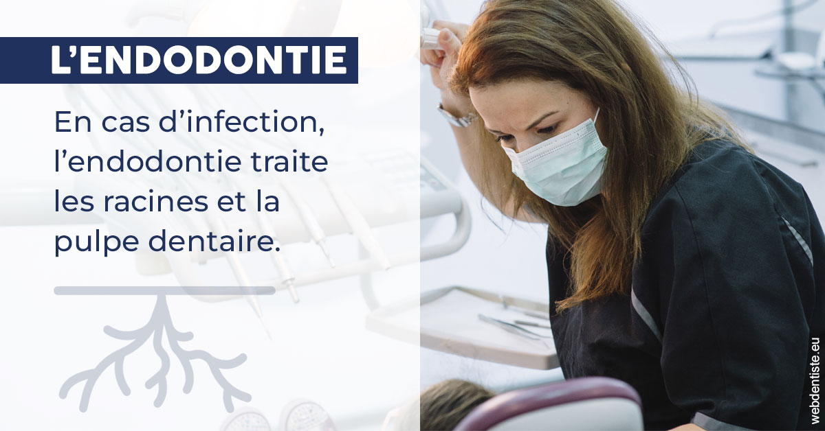 https://www.cabinetdentaireducentre.fr/L'endodontie 1
