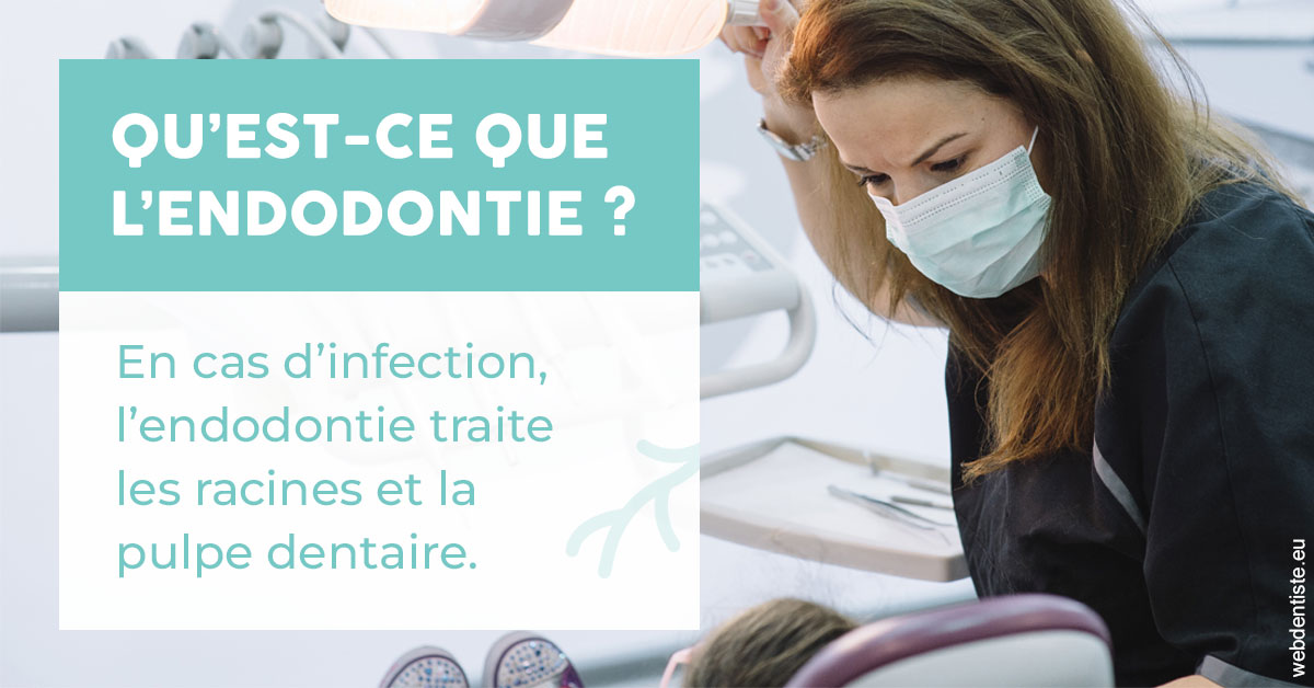 https://www.cabinetdentaireducentre.fr/2024 T1 - Endodontie 01