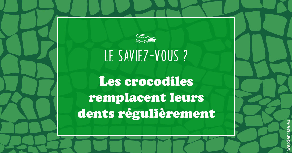 https://www.cabinetdentaireducentre.fr/Crocodiles 1